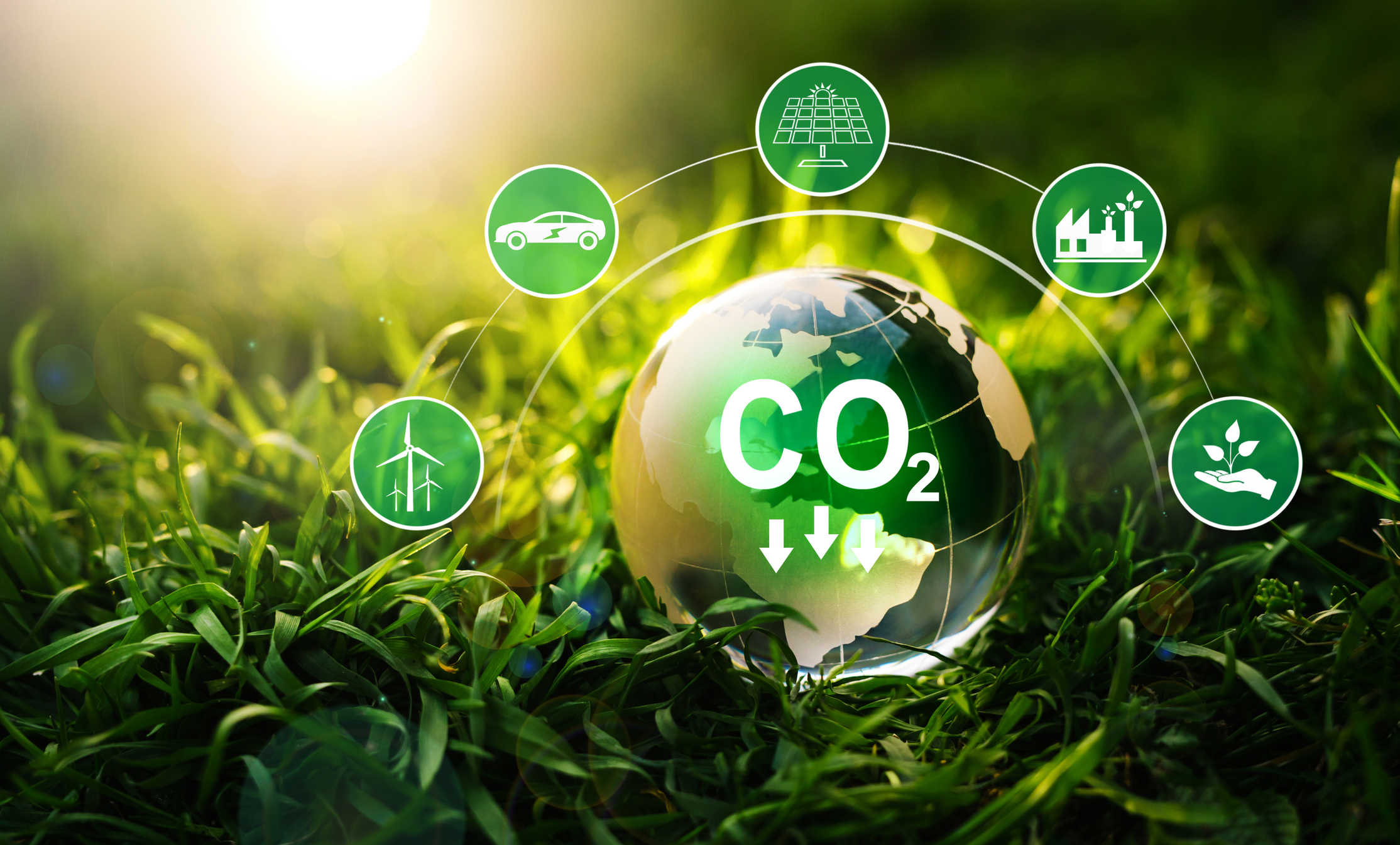 about-greenforet-img