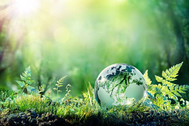 about-greenforet-img